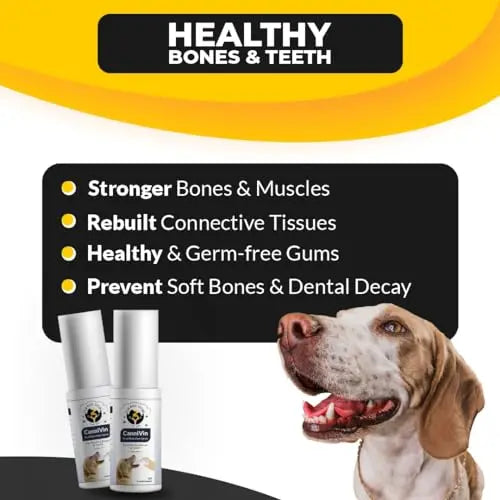 Fur Ball Story CanniVin Oral Nutritional Spray- for Healthy Bones and Teeths - 20ml Fur Ball Story