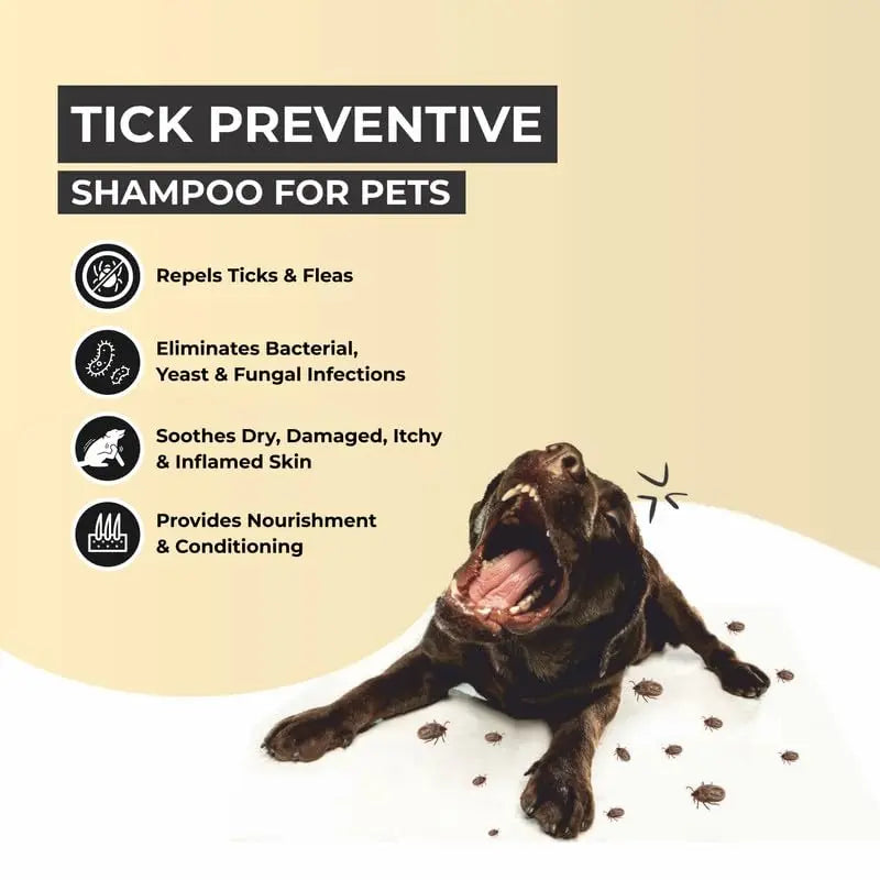 Fur Ball Story Shampooch Tick Free Dog Shampoo (300 ml) | Natural Anti-Fungal, Anti-Itching Formula FUR BALL STORY