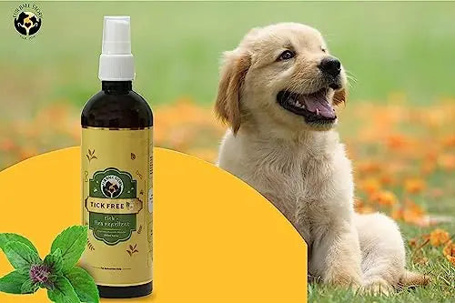 Fur Ball Story Tick Free Repelling Ayurvedic Spray for Dogs and Cats 100ml | Tick Free Spray | Veterinary Tick Free Spray for Dogs, Cats, Pets of All Breed | Treatment and Repellent Spray| Lick Safe Fur Ball Story