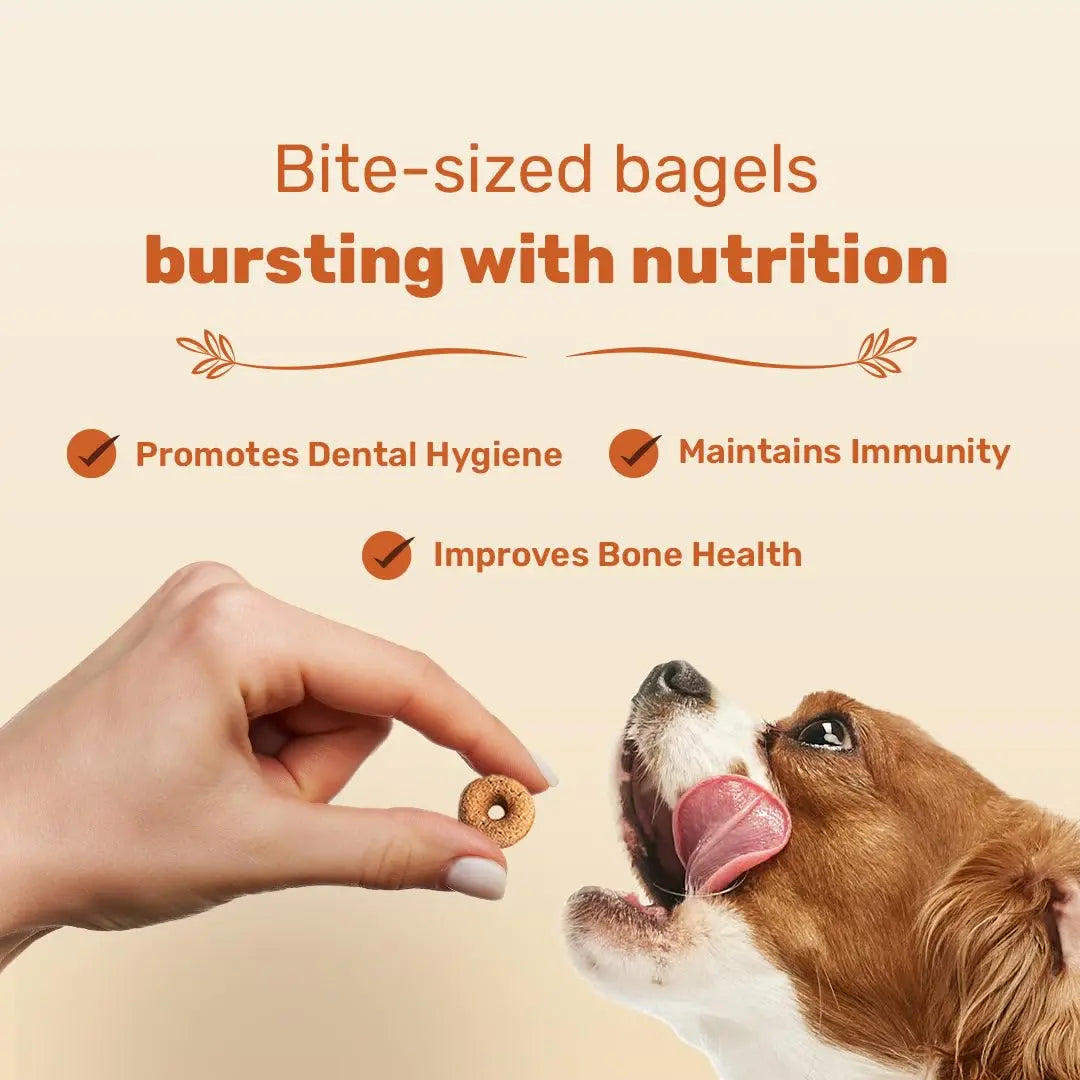 HUFT Bagel Bites Made with Real Chicken & Cheese Dog Treats for Adult Dogs & Puppies | Rich in Protein | Gluten-Free, No Artificial Flavours | Promotes Dental Hygiene & Bone Health | 140 gm Heads Up For Tails
