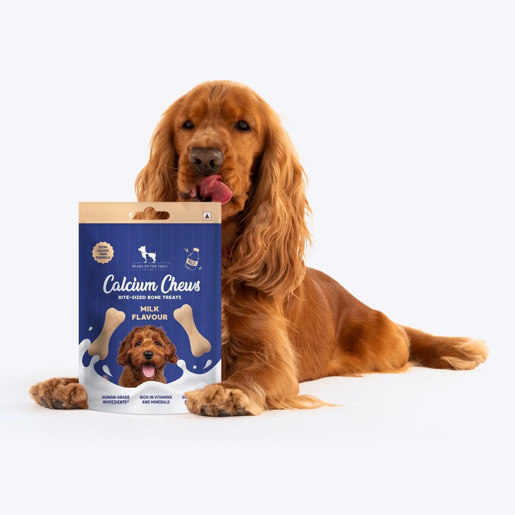 HUFT Calcium Chews Bite-Sized Bone Treats for Dogs - Milk Flavour | Dog Snacks & Training Treats for Puppies & Adult Dogs | Ideal for Shih Tzu Puppies, Small Dogs, and Puppy Training | 200gm Heads Up For Tails
