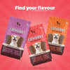 HUFT Chewbarks Roasted Lamb Soft Chew Strips Treat for Dogs | Soft & Tasty Dog Snacks for Puppies, Small Dogs & Adult Dogs | Perfect Treats for Training & Rewards - 30 gm | Packs of 3 Heads Up For Tails