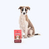 HUFT Chewbarks Roasted Lamb Soft Chew Strips Treat for Dogs | Soft & Tasty Dog Snacks for Puppies, Small Dogs & Adult Dogs | Perfect Treats for Training & Rewards - 30 gm | Packs of 3 Heads Up For Tails