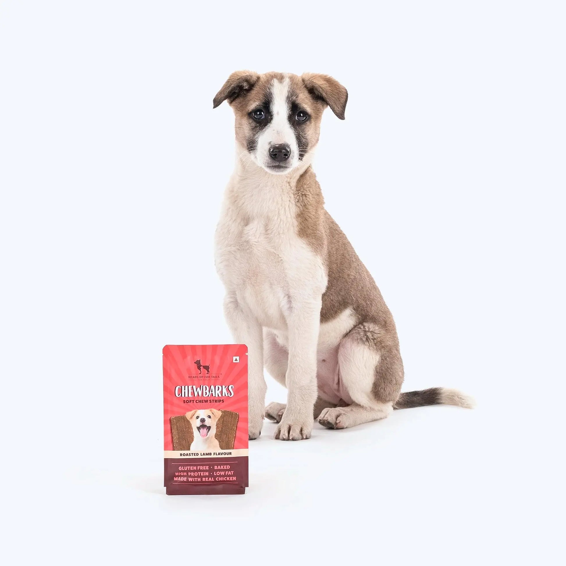 HUFT Chewbarks Roasted Lamb Soft Chew Strips Treat for Dogs | Soft & Tasty Dog Snacks for Puppies, Small Dogs & Adult Dogs | Perfect Treats for Training & Rewards - 30 gm | Packs of 3 Heads Up For Tails