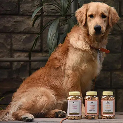 HUFT Heads Up For Tails Yummy In My Tummy Banana & Oats Vegetarian Dog Biscuits 320 Gram, For Babys HUFT