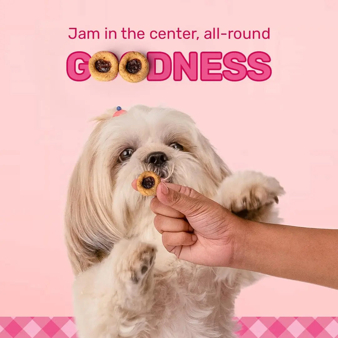HUFT Jammies - Chicken Filled with Strawberry Jam Dog Treats - 100g | Dog Treats for Puppy & Adult | Training Treats for Small Dogs | Tasty & Healthy Pet Snacks Heads Up For Tails