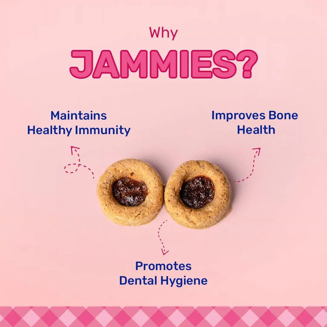 HUFT Jammies - Chicken Filled with Strawberry Jam Dog Treats - 100g | Dog Treats for Puppy & Adult | Training Treats for Small Dogs | Tasty & Healthy Pet Snacks Heads Up For Tails