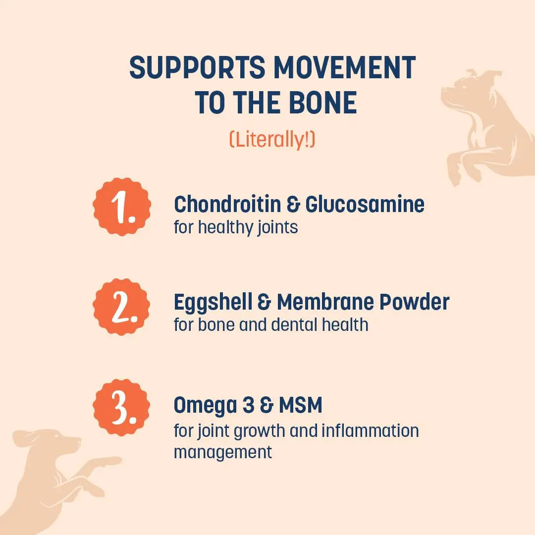 HUFT Sara's Boosters Bone & Joint Mobility Dog Supplement - 300gm | Bone Strength & Gut Health | Promotes Flexibility | Multi-Nutrients | Healthy & Everyday Supplement | All Life Stages | All Breeds Heads Up For Tails