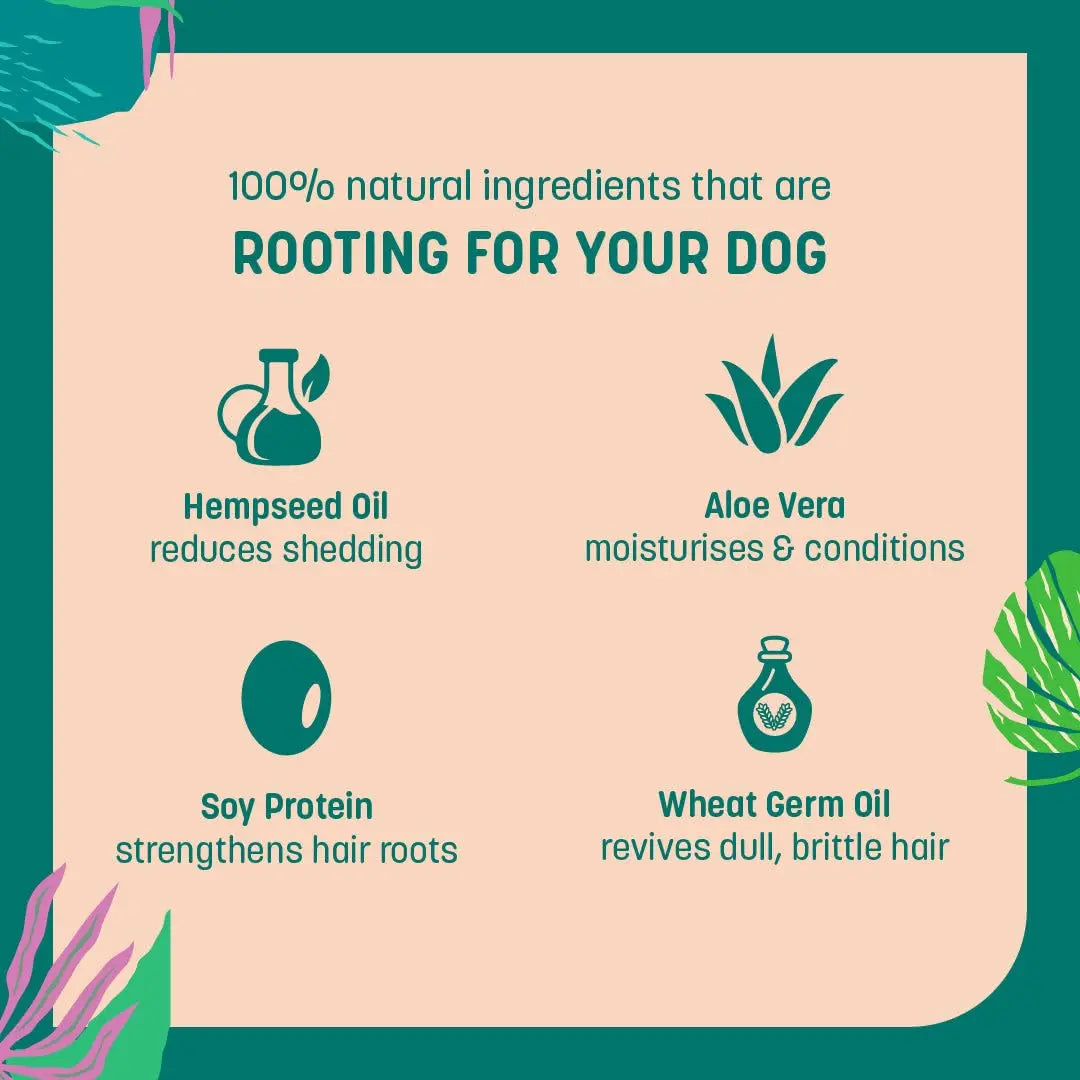 HUFT Shed Control Natural Shampoo for Dogs (Over 12 Weeks) - Hempseed Oil - 500ml | Pet Shampoo for Shedding Control | Best for Labrador, Pomeranian & German Shepherd | for All Breeds Heads Up For Tails