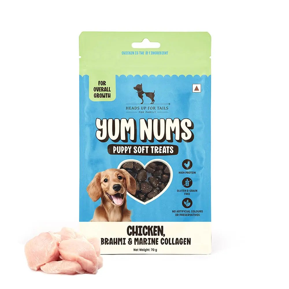 HUFT Yum Nums Chicken, Brahmi & Marine Collagen Puppy Soft Treats | Healthy Dog Treats for Puppies | Soft Chewy Snacks | Puppy Training Treats | High Protein, Joint Support - 70gm | Pack of 3 Heads Up For Tails