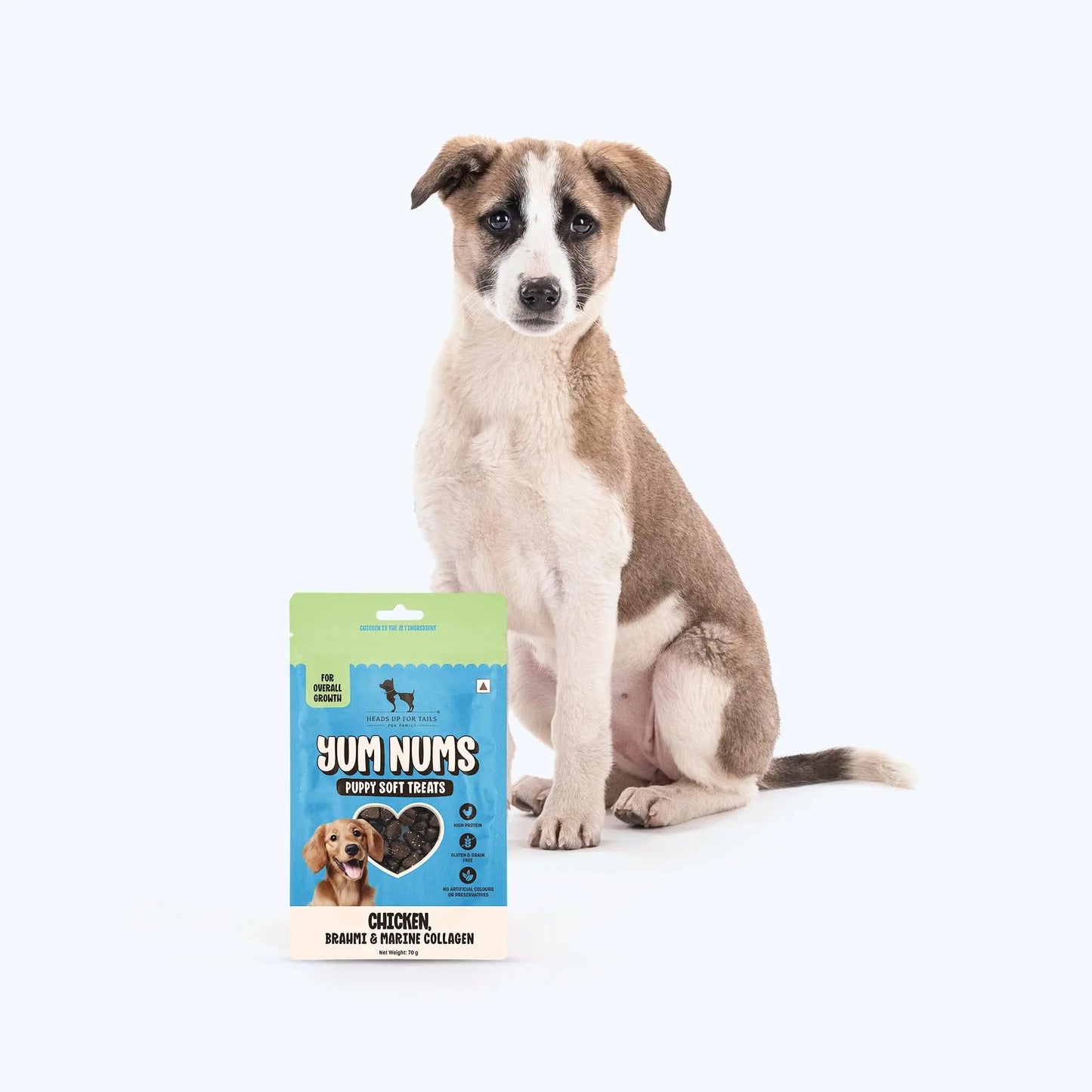 HUFT Yum Nums Chicken, Brahmi & Marine Collagen Puppy Soft Treats | Healthy Dog Treats for Puppies | Soft Chewy Snacks | Puppy Training Treats | High Protein, Joint Support - 70gm | Pack of 3 Heads Up For Tails