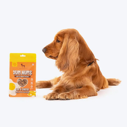 HUFT Yum Nums Soft & Chewy Sticks - Egg & Cheese with Chicken | Healthy Dog Treats | High-Protein, Gluten & Grain-Free | No Artificial Colors, Salt & Sugar-Free - 75gm Heads Up For Tails