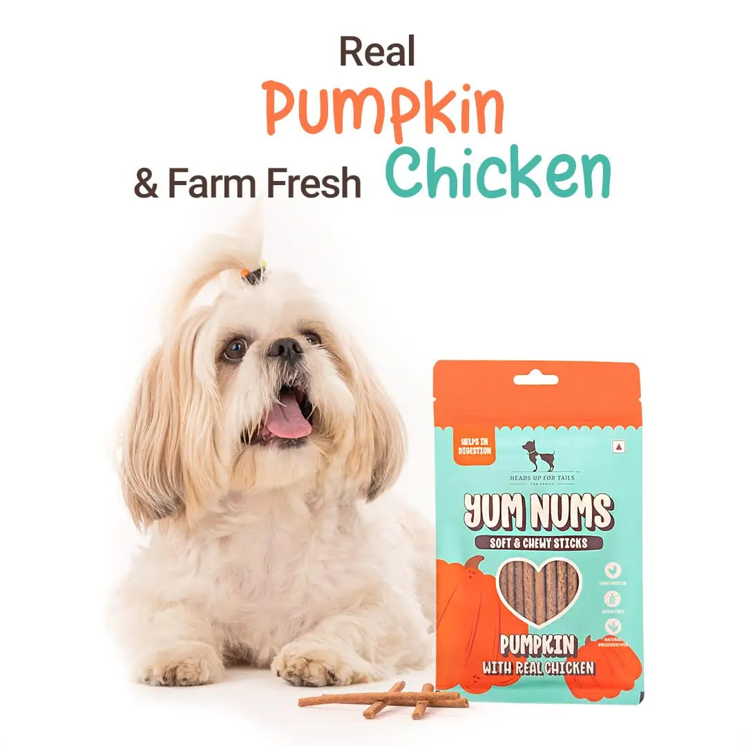 HUFT Yum Nums Soft & Chewy Sticks - Pumpkin with Chicken | Dog & Puppy Treats | Training Snacks for Small & Adult Dogs | High-Protein, Healthy Dog Treats - 75gm Heads Up For Tails