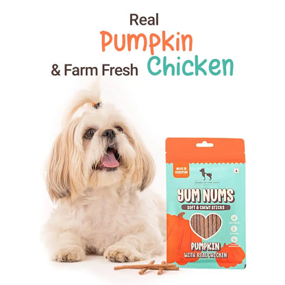 HUFT Yum Nums Soft & Chewy Sticks - Pumpkin with Chicken | Dog & Puppy Treats | Training Snacks for Small & Adult Dogs | High-Protein, Healthy Dog Treats - 75gm Heads Up For Tails