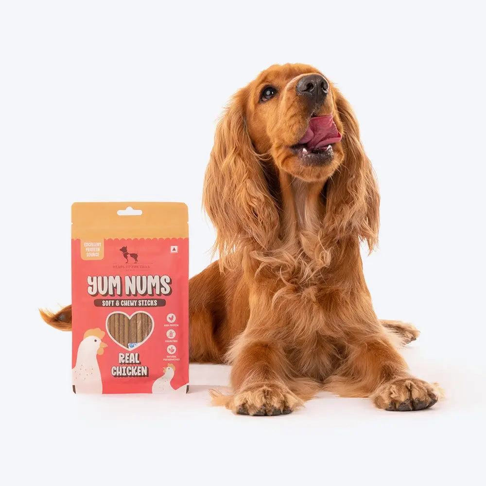 HUFT Yum Nums Soft & Chewy Sticks - Real Chicken | Dog Training Treats | Healthy Dog Snacks | Dog Treats for Puppies & Adults | Pet Chews & Tasty Rewards - 75gm Heads Up For Tails