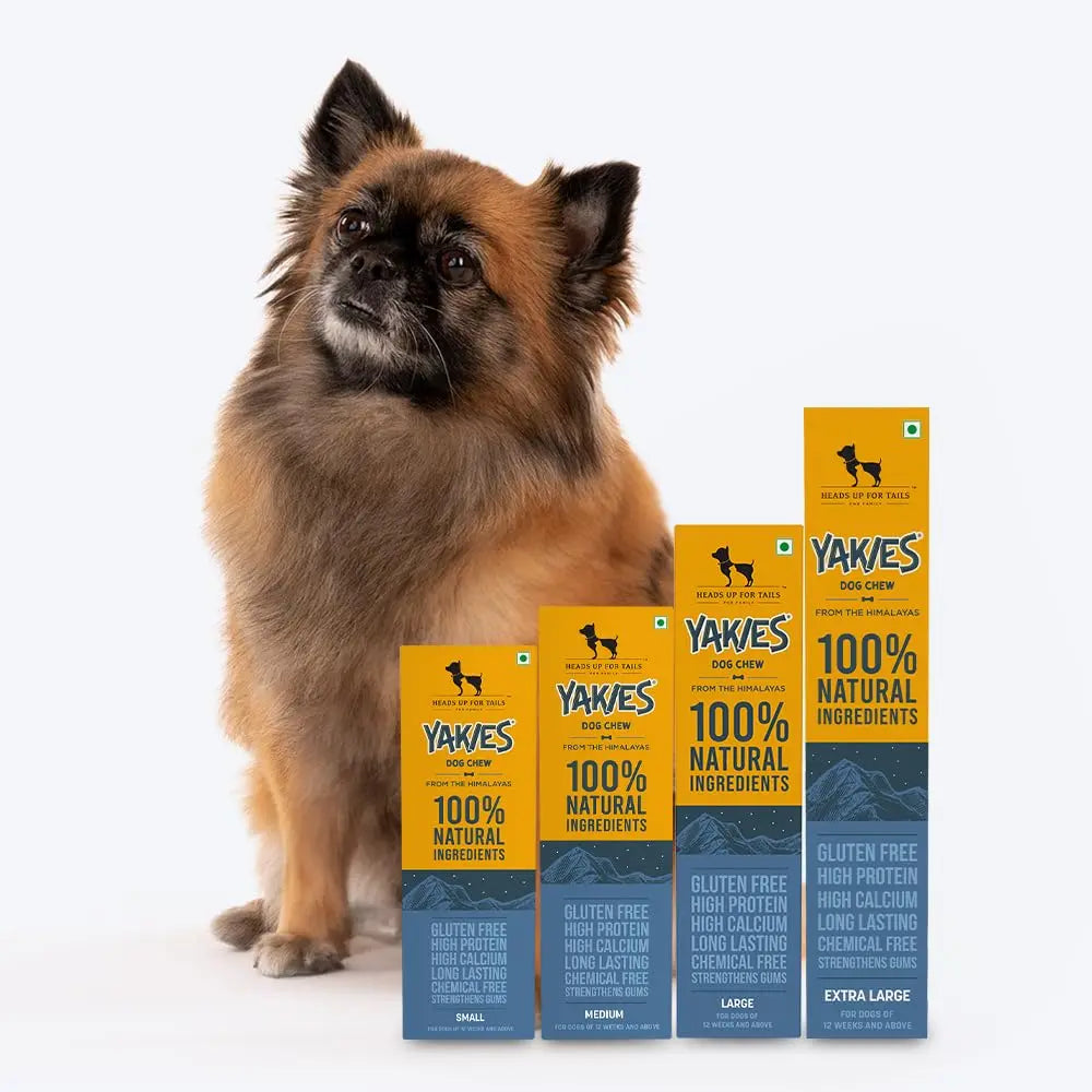 Heads Up For Tails All Life Stages Huft Yakies Organic Dog Cheese Chew Bone(Medium 3 Pcs) Heads Up For Tails