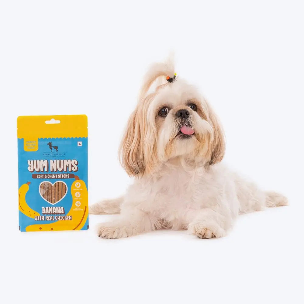 Heads Up For Tails All Life Stages Stick Yum Nums - Banana & Chicken Dog Treats | Puppy Training Treats | Dog Snacks & Treats for Small & Large Dogs | High-Protein, Soft & Chewy - 75gm Heads Up For Tails