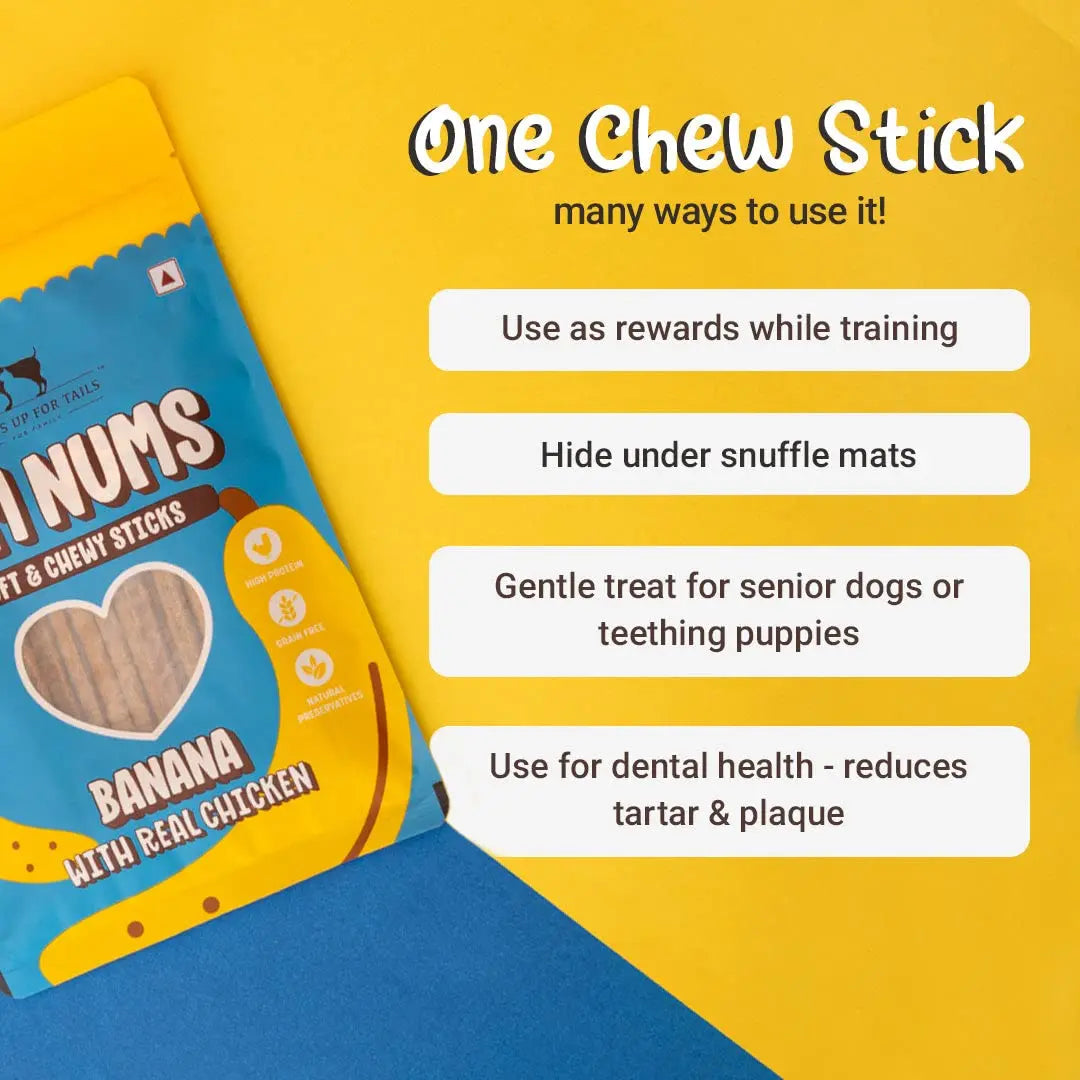Heads Up For Tails All Life Stages Stick Yum Nums - Banana & Chicken Dog Treats | Puppy Training Treats | Dog Snacks & Treats for Small & Large Dogs | High-Protein, Soft & Chewy - 75gm Heads Up For Tails