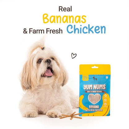 Heads Up For Tails All Life Stages Stick Yum Nums - Banana & Chicken Dog Treats | Puppy Training Treats | Dog Snacks & Treats for Small & Large Dogs | High-Protein, Soft & Chewy - 75gm Heads Up For Tails