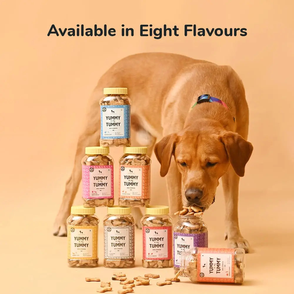 Heads Up For Tails Dog Biscuits Non Veg (Gluten Free Chicken 320 GMS Each) - Pack of 2 - All Life Stages Heads Up For Tails