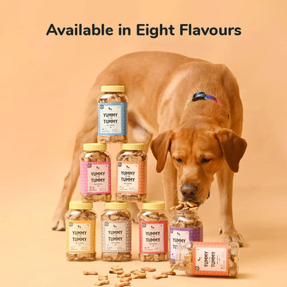 Heads Up For Tails Dog Biscuits Non Veg (Gluten Free Chicken 320 GMS Each) - Pack of 2 - All Life Stages Heads Up For Tails