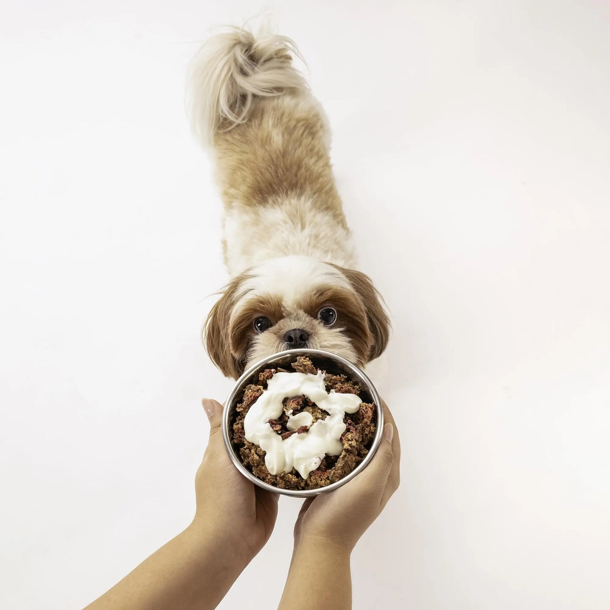Heads Up For Tails Huft All Day Muesli Chicken Wholesome&Nutritious Dog Treats-250 Gm,Carrots&Beetroot(Pack Of 1) Heads Up For Tails