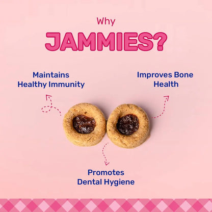 Heads Up For Tails Jammies Dog Treats - Real Chicken - 100G, All Life Stages, Stick Heads Up For Tails