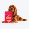 Heads Up For Tails Sassy Sausage Dog Treats with Real Chicken Air-Dried (Bacon) - 100 G | Healthy Snacks for Puppies & Adult Dogs | Training Treats for Small Dogs & Puppies | Pet Treats Heads Up For Tails