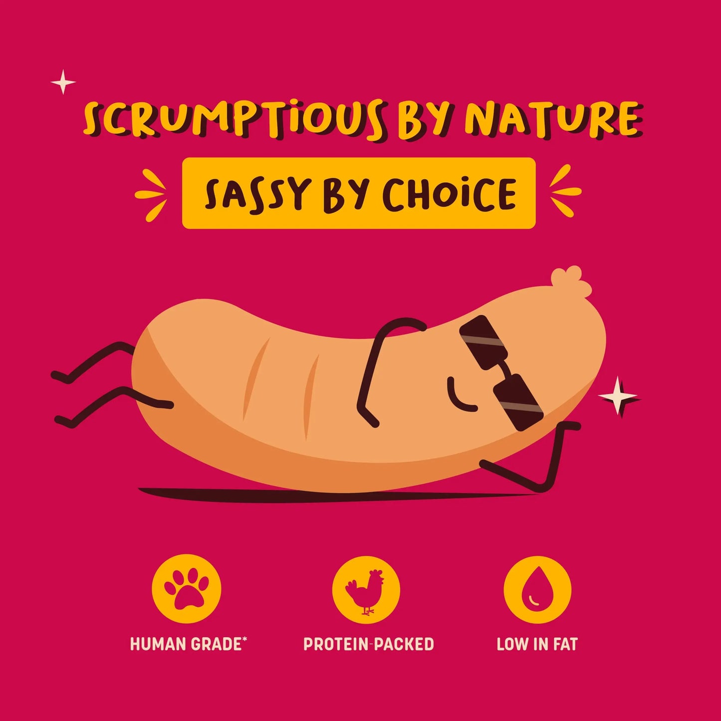 Heads Up For Tails Sassy Sausage Dog Treats with Real Chicken Air-Dried (Bacon) - 100 G | Healthy Snacks for Puppies & Adult Dogs | Training Treats for Small Dogs & Puppies | Pet Treats Heads Up For Tails