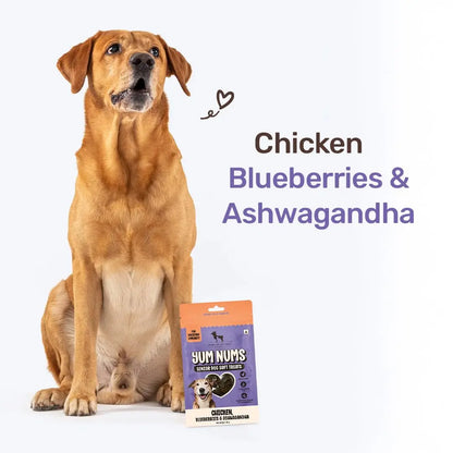 Heads Up For Tails Yum Nums Chicken,Blueberries & Ashwagandha Soft Treat for Senior Dog|High in Proteins|Gluten & Grain Free|Salt & Sugar Free|No Artificial Colours|Farm-Fresh - 70 Gm,Tablet Heads Up For Tails