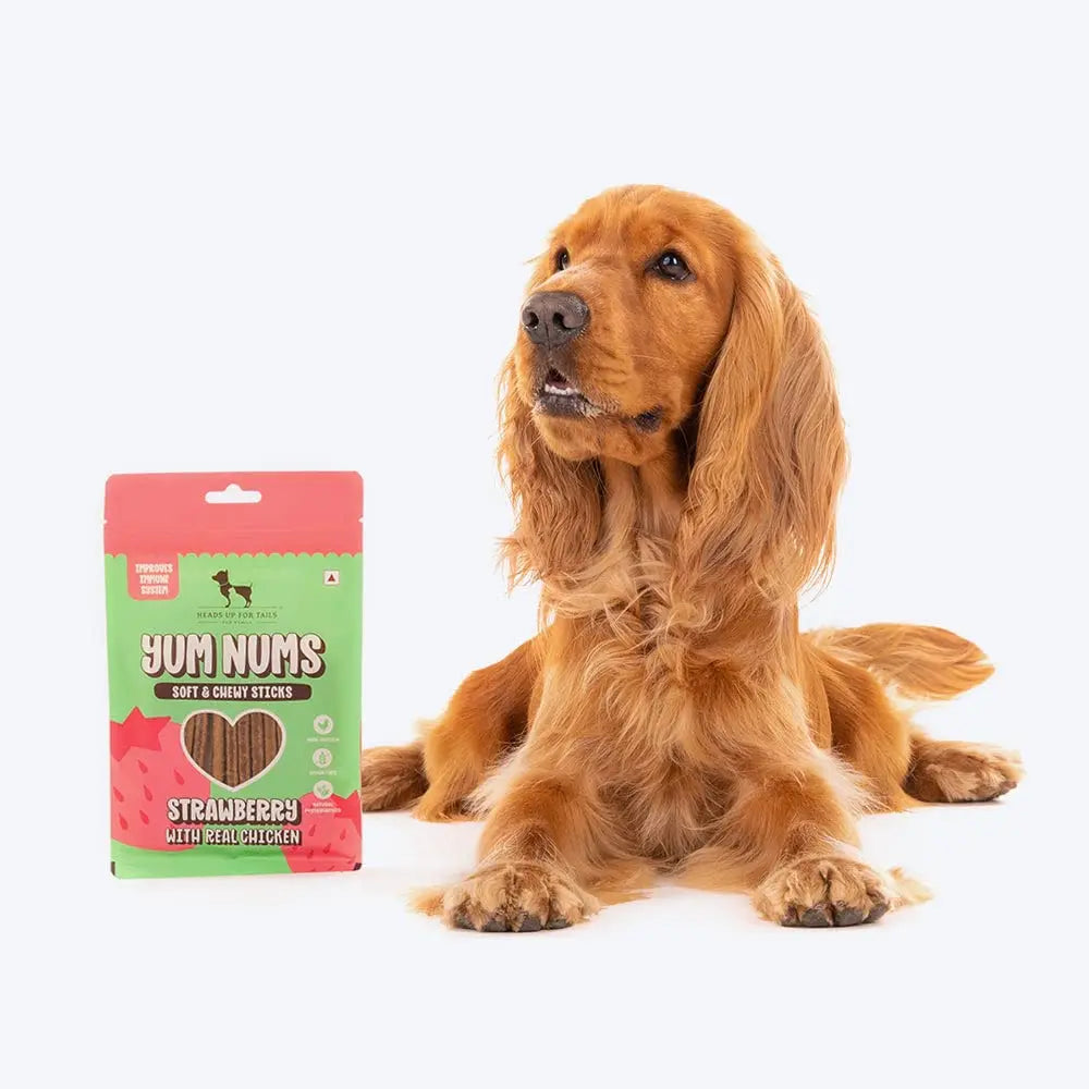 Heads Up For Tails Yum Nums Soft & Chewy Sticks - Strawberry & Chicken | Dog Treats for Puppy & Adult Dogs | Training Treats for Small Dogs | Dog Snacks & Treats | Healthy & Tasty - 75 Gm Heads Up For Tails