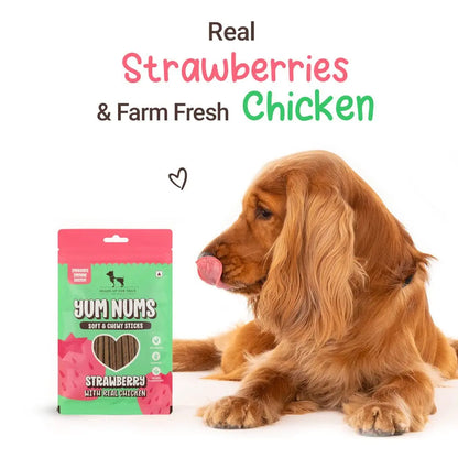 Heads Up For Tails Yum Nums Soft & Chewy Sticks - Strawberry & Chicken | Dog Treats for Puppy & Adult Dogs | Training Treats for Small Dogs | Dog Snacks & Treats | Healthy & Tasty - 75 Gm Heads Up For Tails