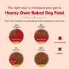 Hearty by HUFT Oven-Baked Adult Dog Dry Food - 5 kg | Grain Free | Turkey, Fish & Chicken Recipe with Superfoods | Complete & Balanced Dog Food for All Breeds Heads Up For Tails