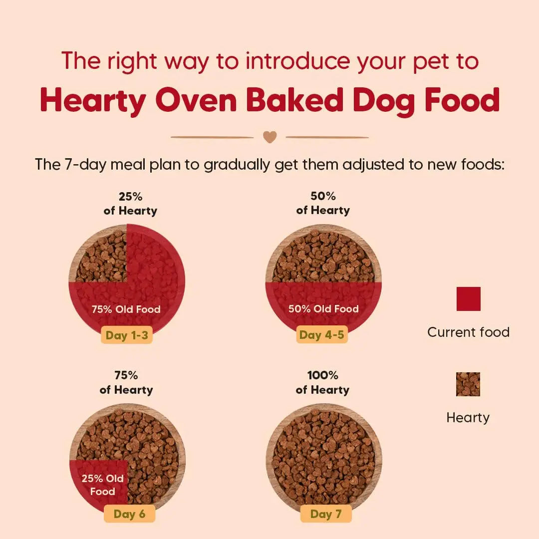 Hearty by HUFT Oven-Baked Adult Dog Dry Food - 5 kg | Grain Free | Turkey, Fish & Chicken Recipe with Superfoods | Complete & Balanced Dog Food for All Breeds Heads Up For Tails