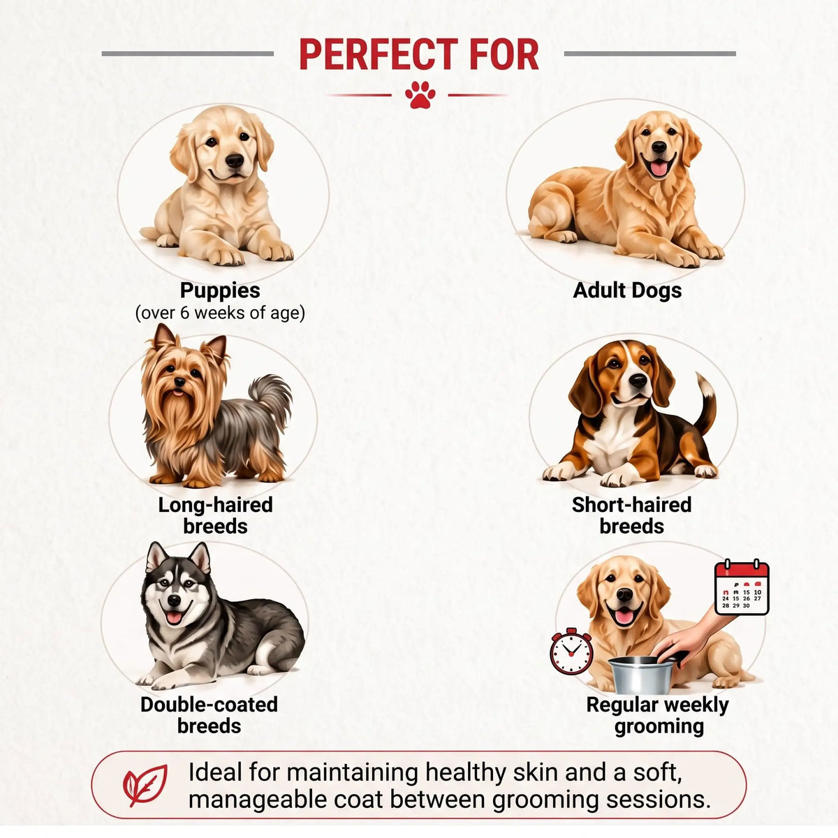 Hug & Wag 4-in-1 Essential Care Dog Shampoo | Science-Based Formula with Glycolic Acid, Niacinamide & Oat Protein | Deep Cleansing, Moisturizing & Skin Barrier Support | 450ml (Pack of 1) Hug n Wag