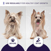 Hydra Silky-Smooth Shampoo, Premium Pet Shampoo for Dogs and Cats, Enhances Coats Ability to Absorb Moisture, Gives Silky & Shine Coat, 1 Liters HYDRA
