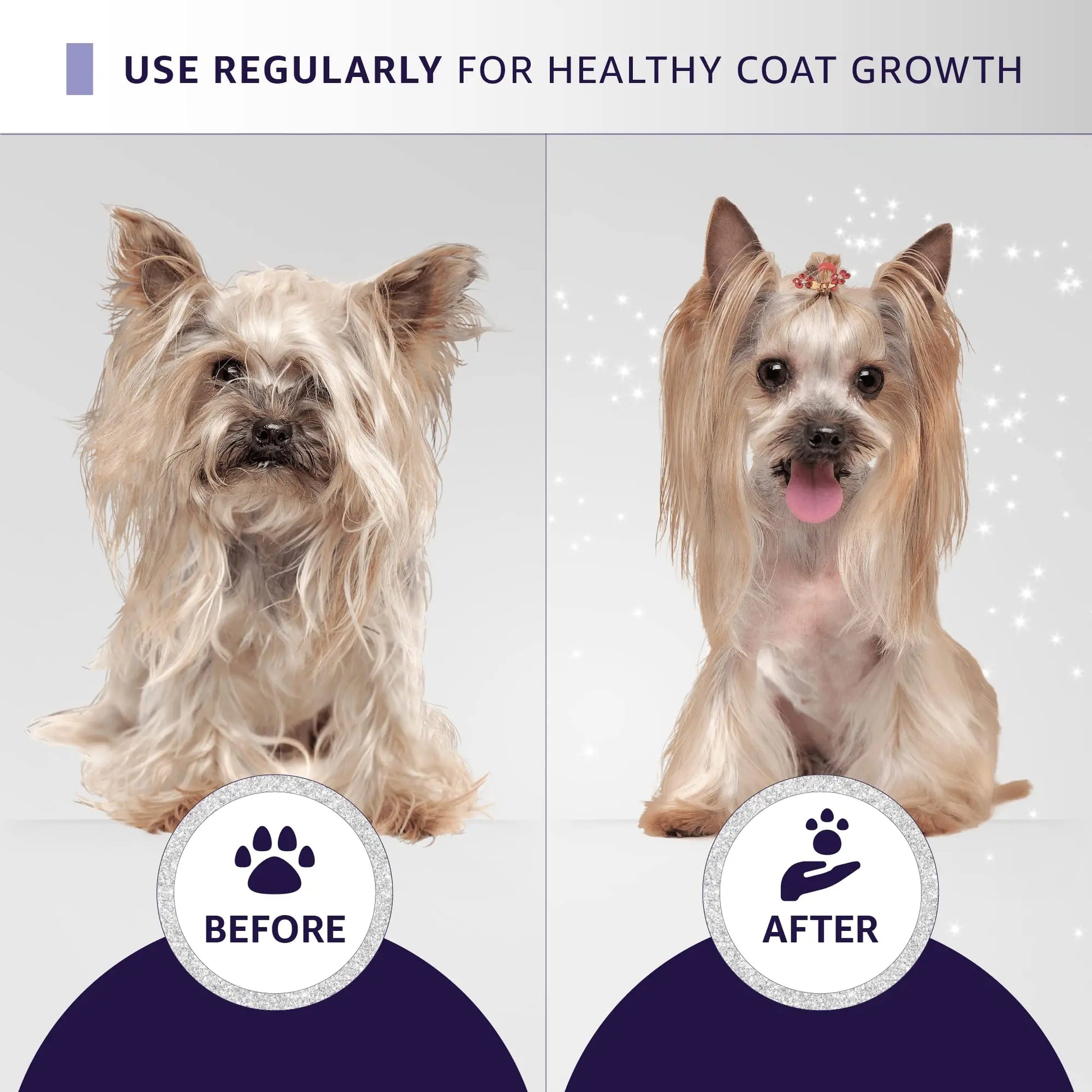 Hydra Silky-Smooth Shampoo, Premium Pet Shampoo for Dogs and Cats, Enhances Coats Ability to Absorb Moisture, Gives Silky & Shine Coat, 1 Liters HYDRA
