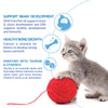 INABA Churu for Kittens, Grain-Free Creamy, Purée Lickable Cat Treats with DHA, EPA, Vitamin E & Taurine, 0.5 Ounces Each, 24 Tubes (4 per Pack), Chicken Recipe INABA