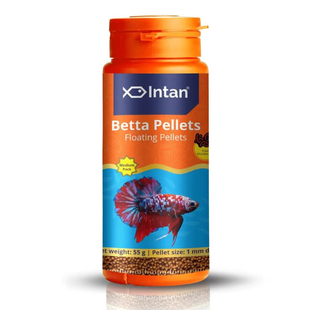 Intan - Betta Pellets - All Life Stages, Fish, 55 G Intan