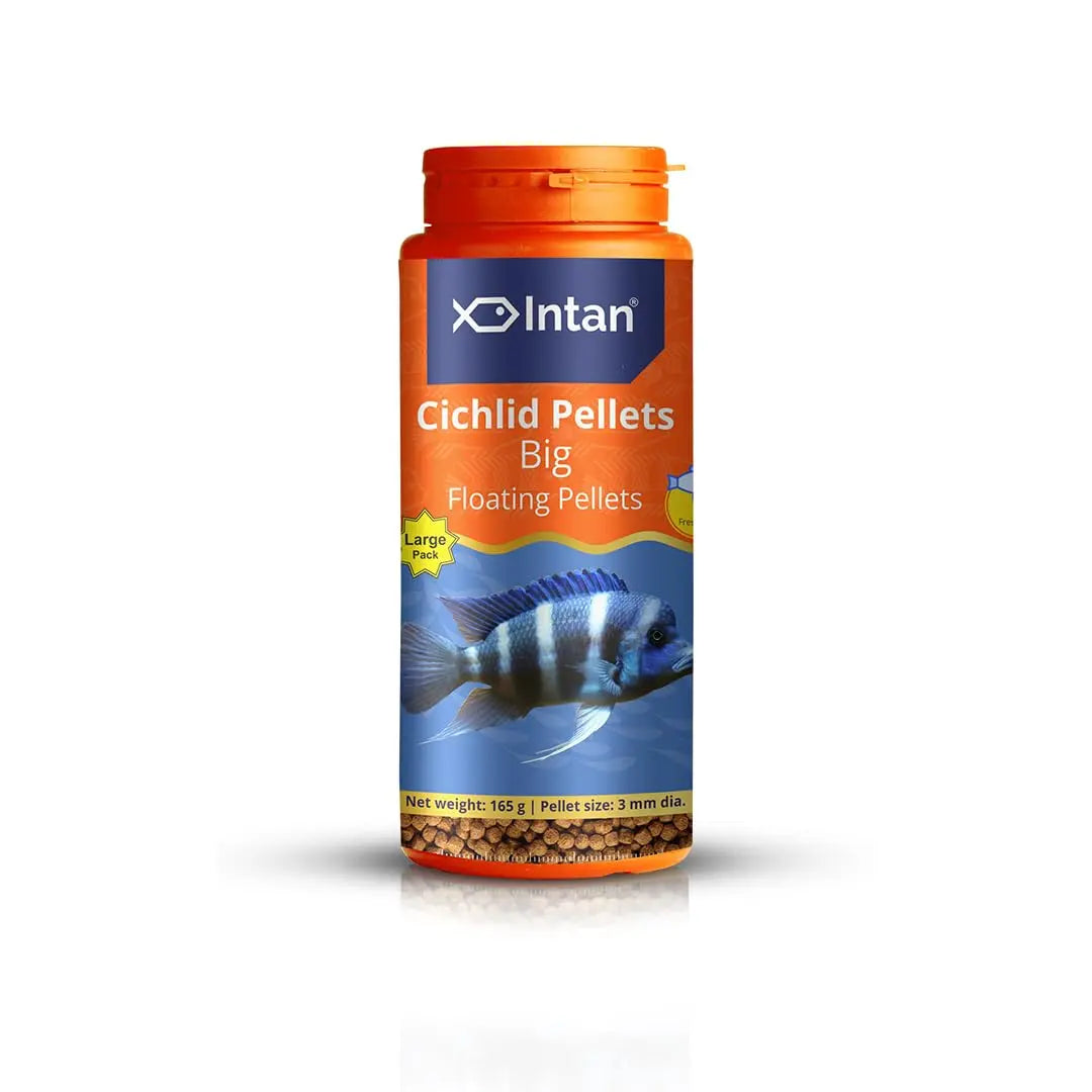 Intan Cichlid Pellets (Big 3mm Floating) | 165gm - Highly Nutritious Ornamental Fish Food for All Varieties of Small & Big Cichlids | Growel Feeds Intan