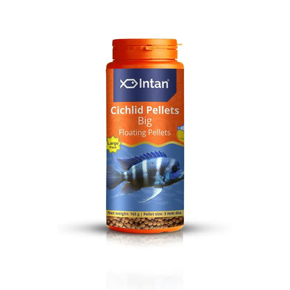 Intan Cichlid Pellets (Big 3mm Floating) | 165gm - Highly Nutritious Ornamental Fish Food for All Varieties of Small & Big Cichlids | Growel Feeds Intan