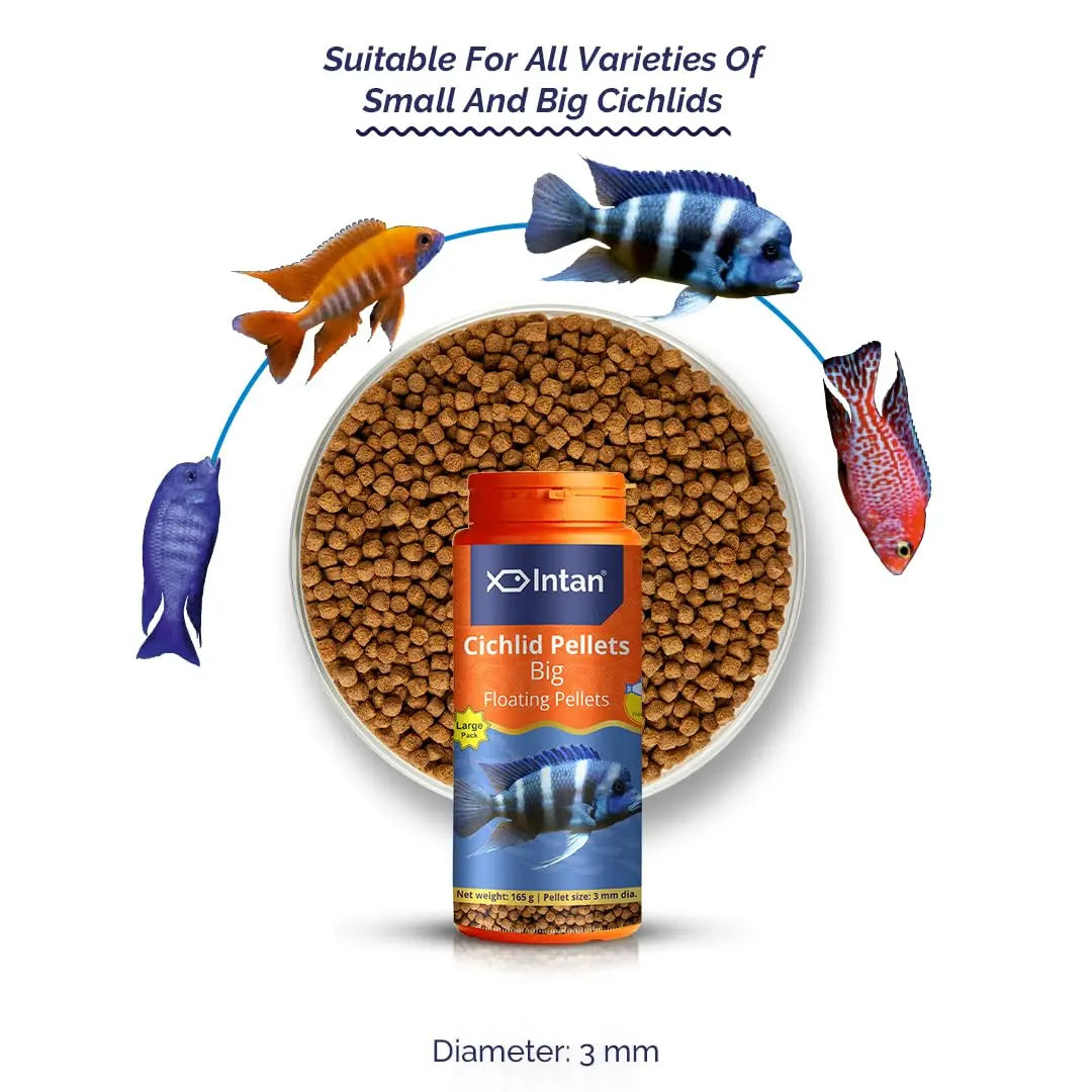 Intan Cichlid Pellets (Big 3mm Floating) | 165gm - Highly Nutritious Ornamental Fish Food for All Varieties of Small & Big Cichlids | Growel Feeds Intan