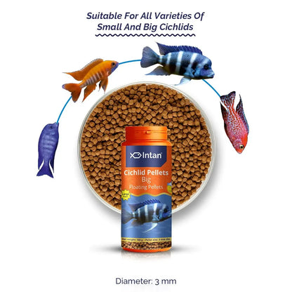 Intan Cichlid Pellets (Big 3mm Floating) | 165gm - Highly Nutritious Ornamental Fish Food for All Varieties of Small & Big Cichlids | Growel Feeds Intan