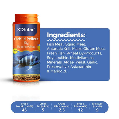 Intan Cichlid Pellets (Big 3mm Floating) | 165gm - Highly Nutritious Ornamental Fish Food for All Varieties of Small & Big Cichlids | Growel Feeds Intan