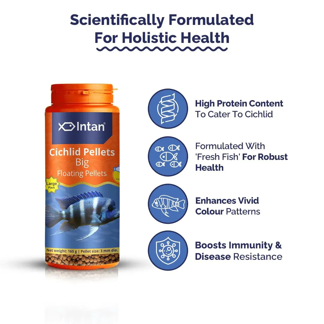 Intan Cichlid Pellets (Big 3mm Floating) | 165gm - Highly Nutritious Ornamental Fish Food for All Varieties of Small & Big Cichlids | Growel Feeds Intan