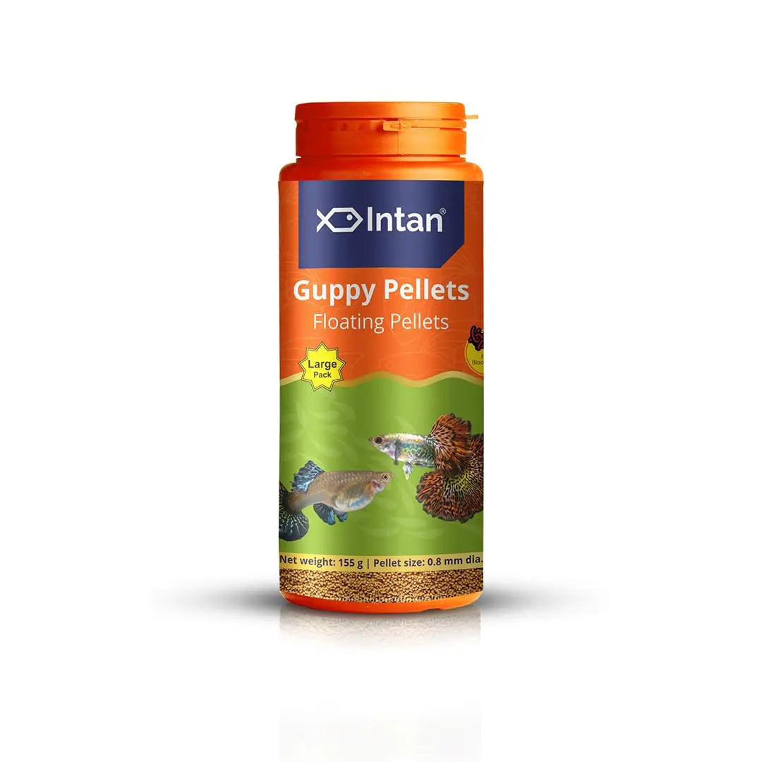 Intan Guppy Pellets (0.8mm Floating) | 155gm - Highly Nutritious Ornamental Fish Food for Guppies & Small Surface Eating Fish | Growel Feeds Intan