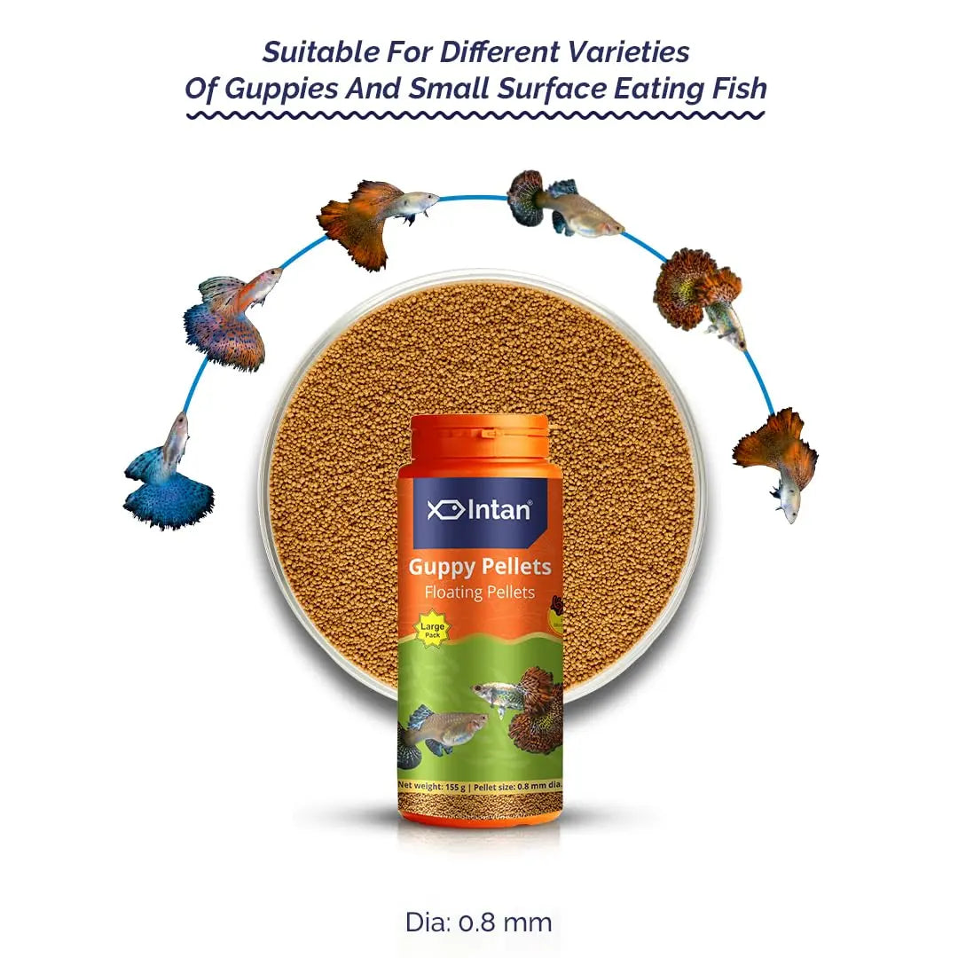 Intan Guppy Pellets (0.8mm Floating) | 155gm - Highly Nutritious Ornamental Fish Food for Guppies & Small Surface Eating Fish | Growel Feeds Intan