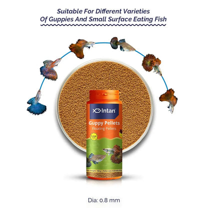 Intan Guppy Pellets (0.8mm Floating) | 155gm - Highly Nutritious Ornamental Fish Food for Guppies & Small Surface Eating Fish | Growel Feeds Intan