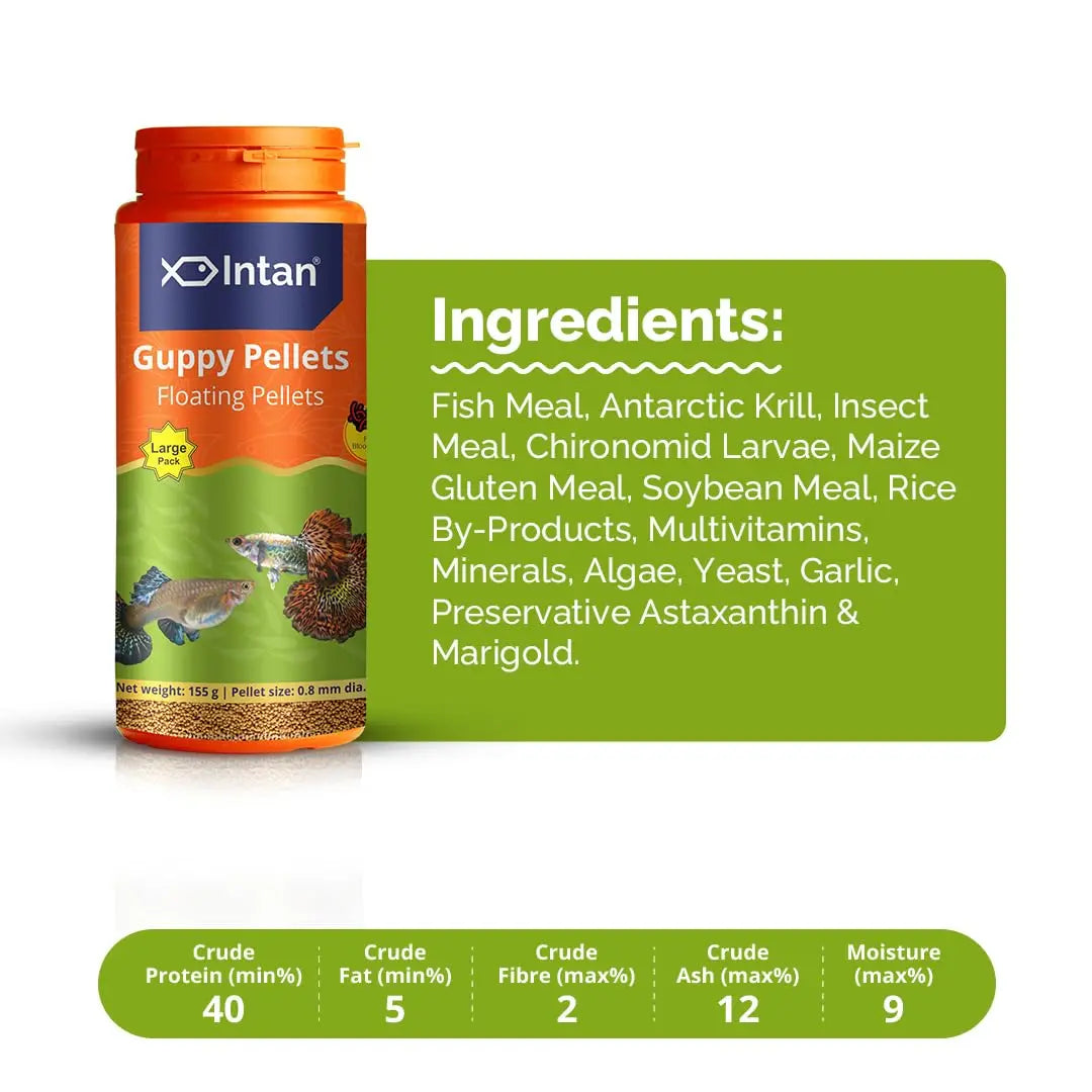 Intan Guppy Pellets (0.8mm Floating) | 155gm - Highly Nutritious Ornamental Fish Food for Guppies & Small Surface Eating Fish | Growel Feeds Intan