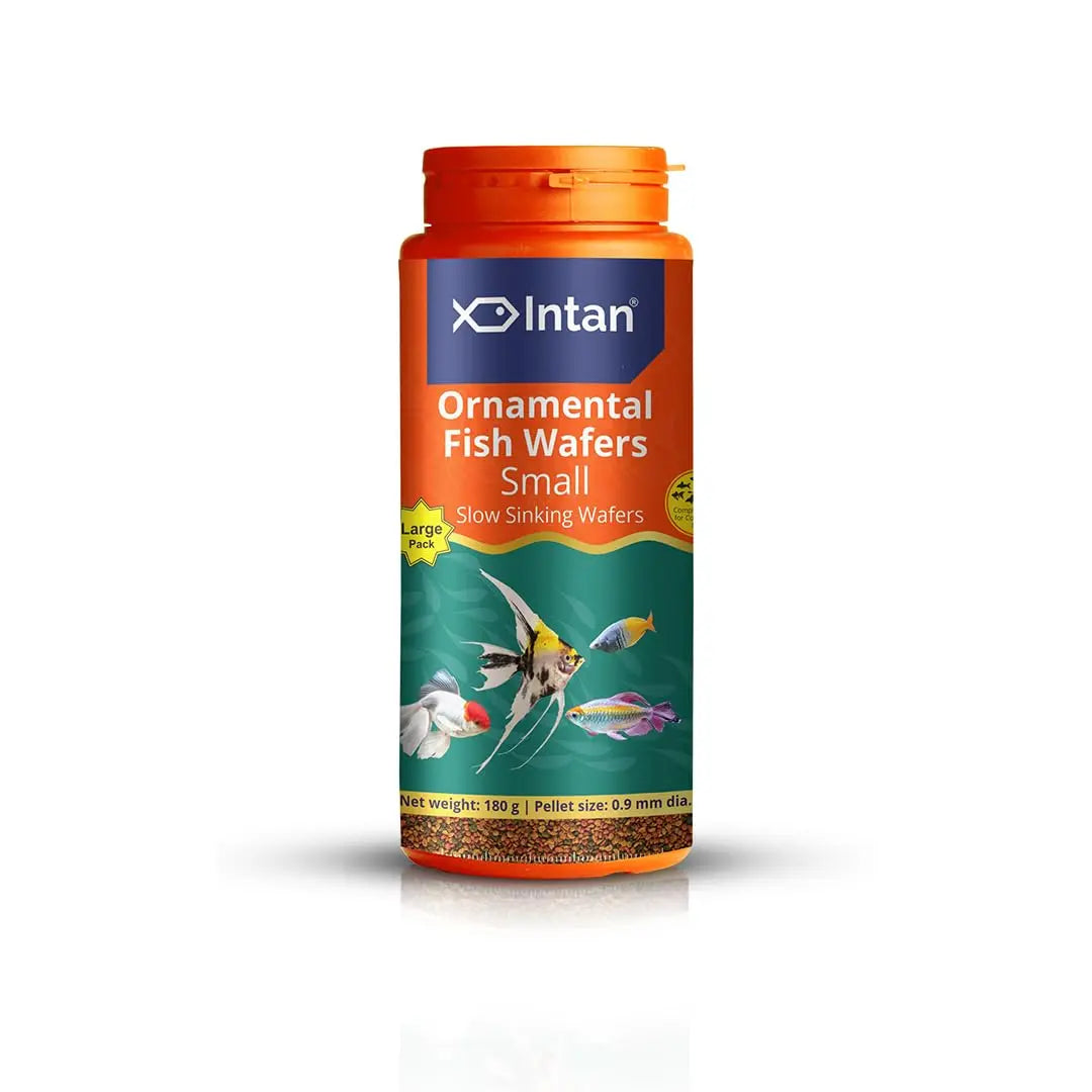 Intan Ornamental Fish Wafers (0.9mm Small Slow Sinking) | 180gm - Highly Nutritious Ornamental Fish Food for Angels, Gouramis, Goldfish, Barbs & Rainbows | Growel Feeds Intan